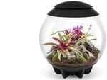 biOrb 72557 biOrb AIR 60 schwarz - automatisiertes Terrarium zur bequemen Pflege