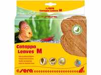 sera Catappa Leaves - Seemandelbaumblätter für die natürliche...