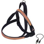 Nobby Norwegergeschirr Flash MESH, orange M: L: 60-75 cm + 52 cm, B: 25 mm, 1 St&uuml;ck