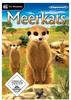 Meerkats - [PC]