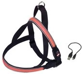 Nobby Norwegergeschirr Flash MESH, rot S: L: 50-65 cm + 48 cm, B: 25 mm, 1 St&uuml;ck