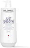 Goldwell Dualsenses Just Smooth Taming Conditioner, 1er Pack (1 x 1 l)