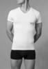 Emporio Armani Underwear Herren V Neck T-Shirt Essential Megalogol, White, XL