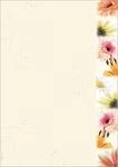 SIGEL Motivpapier Flowerstyle Briefpapier DIN A4 90 g 50 Blatt | DP788, Florales