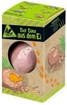 moses. Dino aus dem Ei &ndash; Dino ausgraben, Mystery Egg mit Werkzeug | Welcher...