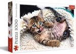 Trefl 916 10448 EA 1000pcs Kitten, Coloured