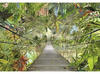 Komar Fototapete WILD Bridge, Tapete, Wanddekoration, Regenwald, Dschungel, Tropic,