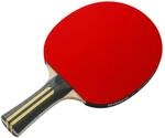 Donic-Schildkr&ouml;t Top Team 500 Tischtennisschl&auml;ger f&uuml;r Einsteiger