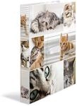 HERMA Ringbuch A4 Katzen, schmal, 2 Ringe, 35 mm breit, Kinder Ringordner mit Tier