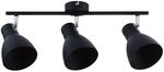 Paulmann Spotlight Davy max 3x20W E27 Schwarz 230V