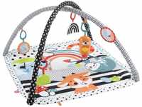 Fisher-Price Tierfreunde Kontrast-Spieldecke | Spielbogen Baby Spielzeug mit...