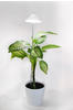 Parus by Venso SUNLiTE XL LED Vollspektrum Pflanzenlampe Weiß 25W Indoor Plants