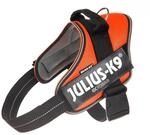 Julius-K9, IDC Powair Hundegeschirr, Gr&ouml;&szlig;e: L / 1, Orange