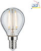 Paulmann 28690 LED Lampe Filament Tropfen 4,8W Leuchtmittel dimmbar Klar 2700K