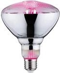 Paulmann 28737 LED Lampe Pflanzenlicht 6,5W Leuchtmittel Wachstumslicht...