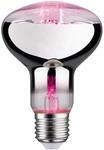 Paulmann 28733 LED Lampe Pflanzenlicht 6,5W Leuchtmittel Wachstumslicht...
