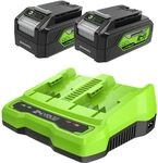 Greenworks 24V Akkus & Doppellader Ladeger&auml;t - Zwei 4Ah Batterien, wiederaufladbarer