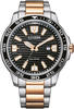 CITIZEN Herren Analog Quarz Uhr mit Edelstahl beschichtet Armband AW1524-84E