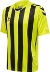 hummel hmlCORE XK Striped Trikot F9124 gruenschwarz, S Herren