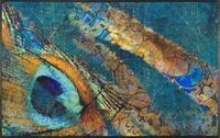 wash+dry Fu&szlig;matte, Exotic Pavo 75x120cm, innen und au&szlig;en, waschbar