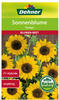 Dehner Blumen-Saatgut, Sonnenblume "Soraya", 5er Pack (5 x 6 g)