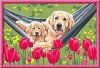 Ravensburger CreArt Kuschelpause - Malen nach Zahlen ab 9 Jahre | Malset mit...