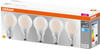OSRAM LED BASE Classic A60, matte Filament LED-Lampen aus Glas für E27 Sockel,