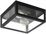 EGLO Deckenlampe Amezola, 2 flammige Wandlampe, Deckenleuchte Industrial