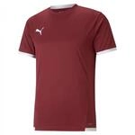 PUMA Unisex Kinder Teamliga Jersey Jr Shirt, Cordovan-puma White, 164 EU