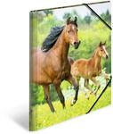 HERMA Sammelmappe A3 Pferde, Kinder Eckspanner-Mappe aus Kunststoff mit Tier...