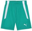 PUMA Unisex Baby Teamliga Shorts Jr, Pfeffer Gr&uuml;n-P, 164