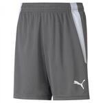 PUMA Unisex Baby Teamliga Shorts Jr, Grau, 128