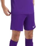 NIKE Men's Dri-fit Park 3 Shorts
