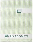 Exacompta 413E Gesch&auml;ftsbuch DIN A4 kariert 110 g/qm Inh.150 Blatt