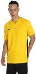 PUMA Herren Trikot teamCUP Jersey 704386