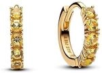 Pandora Creolen Timeless 263849C01