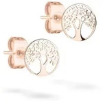 Tamaris Ohrstecker TJ-0405-E-08 - ros&eacute;gold