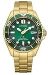 Citizen Herrenuhr Eco-Drive BN0262-59W - gold