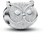 Pandora Charm Moments 794525C00 - silber