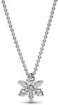Pandora Kette 392387C01-45