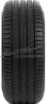Delinte DS2 205/55 R17 95 W XL, Kraftstoffeffizienz: C, Nasshaftung: B, externes