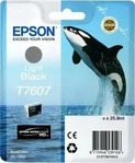 Epson C13T76074010, Epson T7607 light black