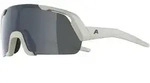 Alpina Rocket Youth - cool-grey matt