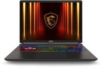 Vector 16 HX AI A2XWHG-476 40,6 cm (16") Gaming Notebook cosmos-grau, 16 GB RAM, 1000
