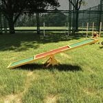 PawHut Hundewippe, Hunde Agility Wippe aus Holz, Rutschfest Hunde Agilit&auml;ts...
