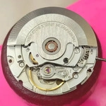 Tianjin M&ouml;we eta 2824 2836 2834 Uhrwerk brandneue st2130 Tianjin 2824 Uhrwerk
