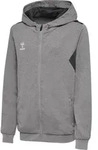 HUMMEL hmlAUTHENTIC PL ZIP HOODIE KIDS grey melange 116