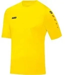 Jako Trikot Team KA citro 152