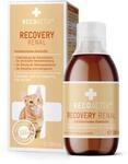RECOACTIV Recovery Renal f&uuml;r Katzen, hochkalorisches Di&auml;t-Alleinfuttermittel,...