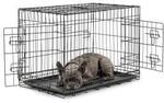Lionto Hundetransportk&auml;fig Tiertransportbox Hundebox Gr&ouml;&szlig;e (S) 45x31x36 cm L